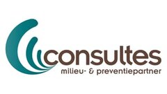Consultes