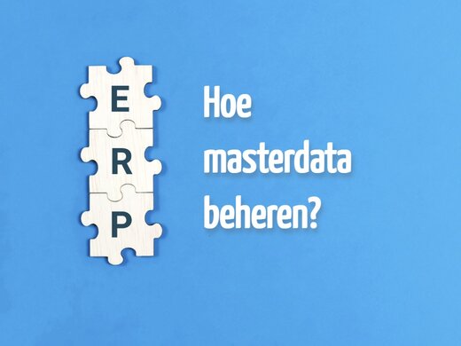 hoe masterdata beheren?